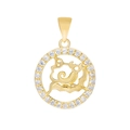 Detailed shot of a gold Aquarius zodiac pendant with sparkling zircon embellishments - Pendant Only / Aquarius