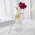 Single rose gift with bright rose red petals and golden stem in glass vase - Gold Foil Rose - Rose Red