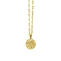 Gold plated Aries zodiac necklace with ram pendant and small inlaid gemstone charm - Capricorn