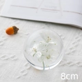 Elegant 8cm glass paperweight featuring three preserved white flowers inside - White Larkspur Ball 8cm (Kraft Box)