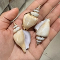Natural seashell pendants with gold edges in cream white for DIY jewelry making - Style 41