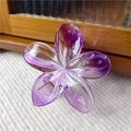 Dettaglio molletta a fiore di plumeria viola sfumato con trama dei petali - Viola Trasparente