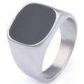 Minimalist stainless steel signet ring with black enamel surface and brushed metal finish - Frosted Steel