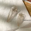 Juego de dos pinzas para el cabello en acrílico transparente con resortes de metal sobre fondo - 3# Champán Transparente Dorado - Pequeño