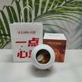 White spherical little pet house night light with orange cat and gift bag - Bluetooth Style + Small Token Gift Bag / White