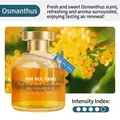 Désodorisant voiture à l'osmanthus avec 65ml d'huile essentielle dorée en verre - 65ml / Osmanthus