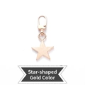 Star-shaped gold metal detachable zipper pull replacement for bags and jackets - Star Shape - Gold