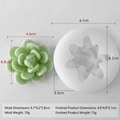 Succulent cactus silicone mold and finished light green resin craft for DIY candle making - Succulent H-0565