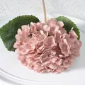 Nude Pink