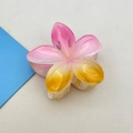 Pink and yellow gradient frangipani hair claw clip with a glossy translucent finish - Frangipani Hair Clip / 8x7x4cm / Pink and Orange Gradient