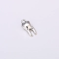 Gros plan d'un pendentif en métal argenté en forme de dent pour bijoux DIY - Argent Antique