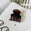 Polished amber brown medium hair claw clip on a minimalist white book background - Glossy Reddish Brown (Medium 4.8cm)