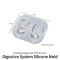 Translucent silicone mold for DIY digestive system organs with 45-degree angle view - Viscera