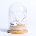 Crystal columns in glass dome with light wooden base and beige ribbon decoration - Glass Dome Micro Landscape-Polished Clear Quartz Point