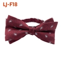 Classic burgundy men's bow tie with paisley pattern, pre-tied in premium silk texture - Wine Red Paisley Jacquard