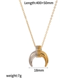Detailed view of bicolor crescent necklace with dimensions 400+50mm and 7g weight - Crescent Bi-color Pendant Necklace (TN60285-M)