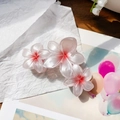 Gradient white and pink frangipani flower hair claw clip with a matte finish - Orange Red-Triple Flower