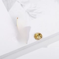 Red and gold enamel pin with Chinese characters Future is Promising for student gifts - Carp Flag Future Promise