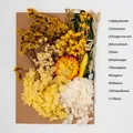 DIY dried flower set with yellow and orange hydrangeas on kraft paper background - Flower Pack A23