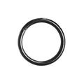 316L stainless steel hinged segment ring in black finish for body piercing - Black