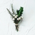 Wedding boutonniere with green leaves and white berries tied with rustic twine - Forest Flower 3 (White Berries)