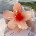 Molla per capelli a fiore di frangipani rosa sfumato in acrilico per acconciature - Plumeria Rossa