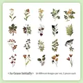 Set of 40 vintage botanical PET stickers featuring 20 unique plant and flower designs - Original Grass-40PCS