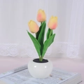 Artificial yellow and pink tulip LED night light in a white ceramic pot on a book - Style B-3 Heads-Champagne-Battery