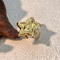 Anello a stella in acciaio inossidabile placcato oro con design a pieghe strutturate - Oro