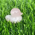 Close-up of a pink quartz duck figurine placed on green grass with a glossy crystal texture - Rose Quartz