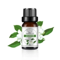 10ml Wasserlösliches Jasmin-Duftöl in Braunglasflasche mit frischen Jasminblüten-Details - Jasmin Duftöl