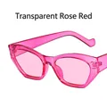 Eleganti occhiali da sole cat-eye con montatura rosa rosso trasparente di tendenza - Rosso Rosa Trasparente