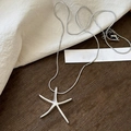 Dettaglio di un ciondolo a stella marina d'argento su catena a serpente su legno scuro - Stile Ciondolo Stella Marina in Argento Semplice
