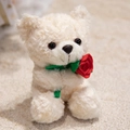 Cream teddy bear plush toy holding a red rose with soft curly textured fur - White Rose Bear