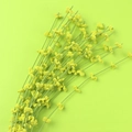 Handmade crochet Lily of the Valley flower bouquet with yellow petals on green background - Single Light Green Liriope Flower With Green Stem
