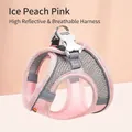 Reflektierendes, atmungsaktives Haustiergeschirr in Pfirsichrosa für kleine Hunde - Rosa Geschirr (Ohne Leine)