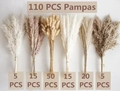Set of 110 pieces dried pampas grass in white brown and beige colors for home decor - ££££002 - Six-piece Set £££££