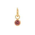 Gold plated pendant featuring a round rose red gemstone with multifaceted cut finish - July Birthstone Pendant