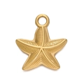 Gold plated stainless steel starfish pendant with textured detail and hanging loop - Gold 559# Veined Starfish / 19*21mm
