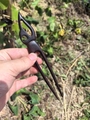 Pic à cheveux en bois de santal en forme de U avec un élégant sommet sculpté creux - Style Wuniao (18CM)