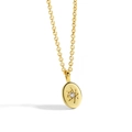 Collana minimalista dorata con ciondolo ovale stella e inserto in zircone - Rame Placcato Oro 14K / Stella Ovale Oro (CYN0067)