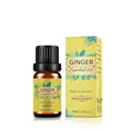 10ml Pure Ginger Essential Oil with brown glass bottle and decorative packaging box - Ginger Oil