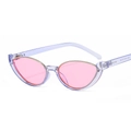 Cat eye sunglasses with transparent purple frames, pink lenses and gold metal accents - Cat Eye / Transparent Blue Frame Pink Lens