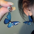 Primo piano di orecchini a perno a farfalla blu con elegante finitura semitrasparente - Stile Perno in Argento / Blu