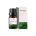 Eucalyptus essential oil 10ml bottle with minimalist white packaging box - Eucalyptus