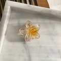 8cm plumeria hair claw clip with orange gradient resin and golden glitter finish - 4cm / Orange Pink Gradient (Small)
