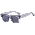 Occhiali da sole quadrati stile business in grigio scuro con lenti sfumate fumo - Montatura Grigio Gelatina Lente Grigia C02