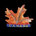 3D resin Canada maple leaf fridge magnet souvenir in vibrant red and orange on black base - Canada Maple Leaf