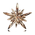 Star-shaped brooch in rose gold with marquise-cut champagne crystals and rhinestones - Champagne