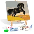 Kit de pintura de diamante DIY con diseño de caballo negro y accesorios de decoración - YTH-01